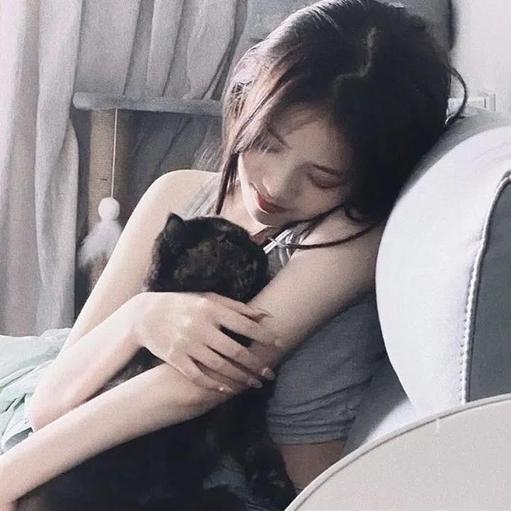 无家可归